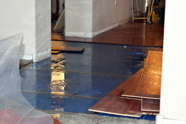 Professional Flood Cleanup technician working in Monmouth, IL